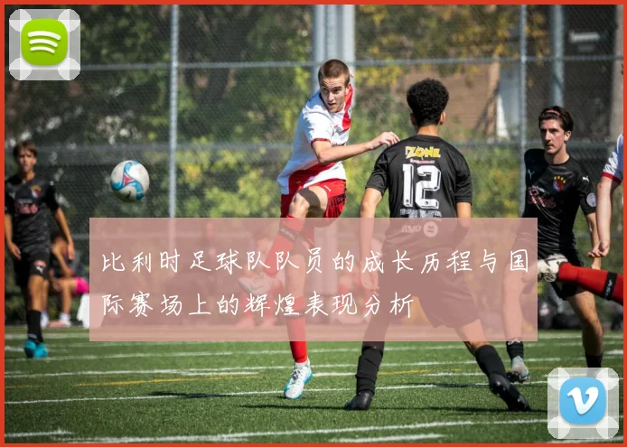 比利时足球队队员的成长历程与国际赛场上的辉煌表现分析