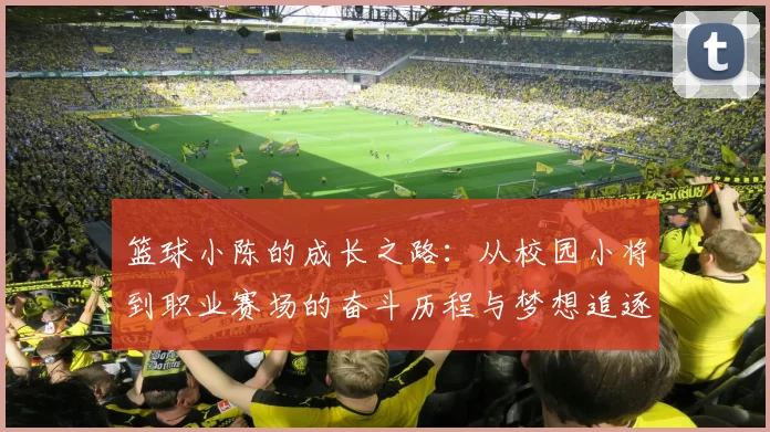 篮球小陈的成长之路：从校园小将到职业赛场的奋斗历程与梦想追逐