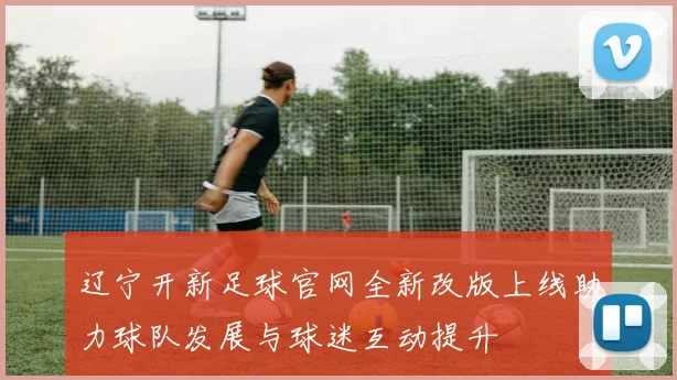辽宁开新足球官网全新改版上线助力球队发展与球迷互动提升
