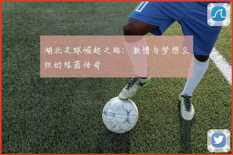 湖北足球崛起之路：激情与梦想交织的绿茵传奇