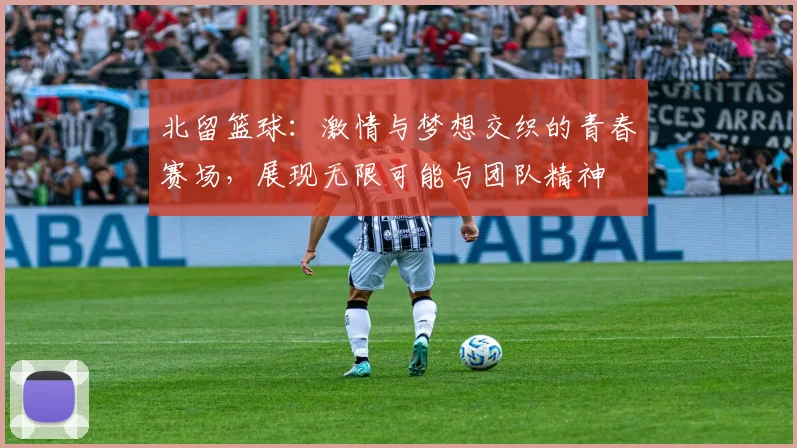 北留篮球：激情与梦想交织的青春赛场，展现无限可能与团队精神