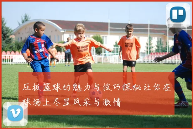 压板篮球的魅力与技巧探秘让你在球场上尽显风采与激情