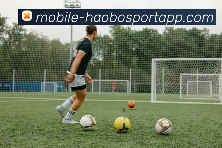 App Interface Preview