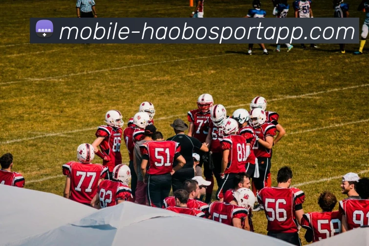 好博体育APP 封面图